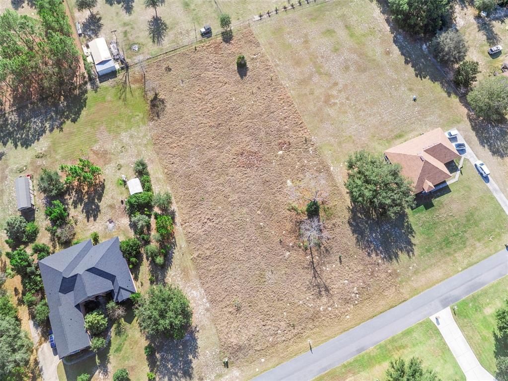 Rolling Oak Road Sorrento, FL 32776 - Photo 4 of 8 a view of a yard with plants