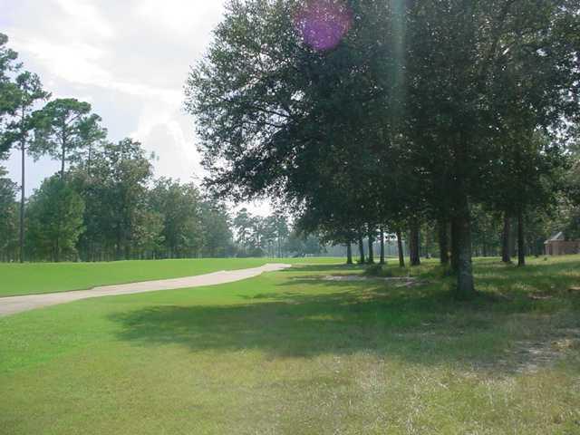 30918 Carter Cemetery Road Springfield, LA 70462 - Photo 20 of 24