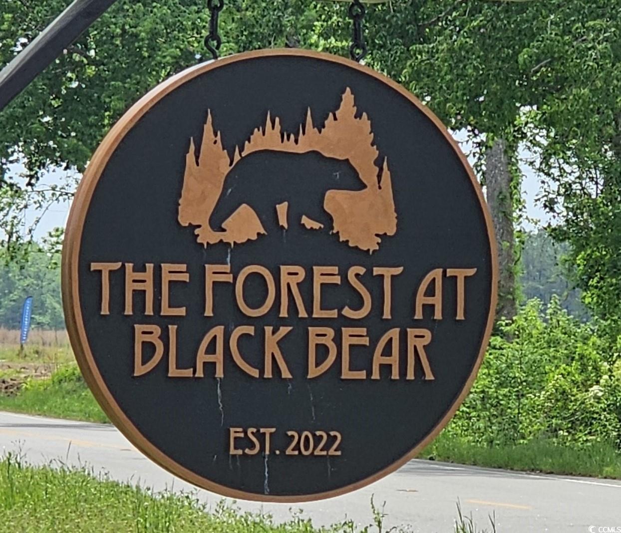 170 Honey Jar Way Longs, SC 29568 - Photo 2 of 22