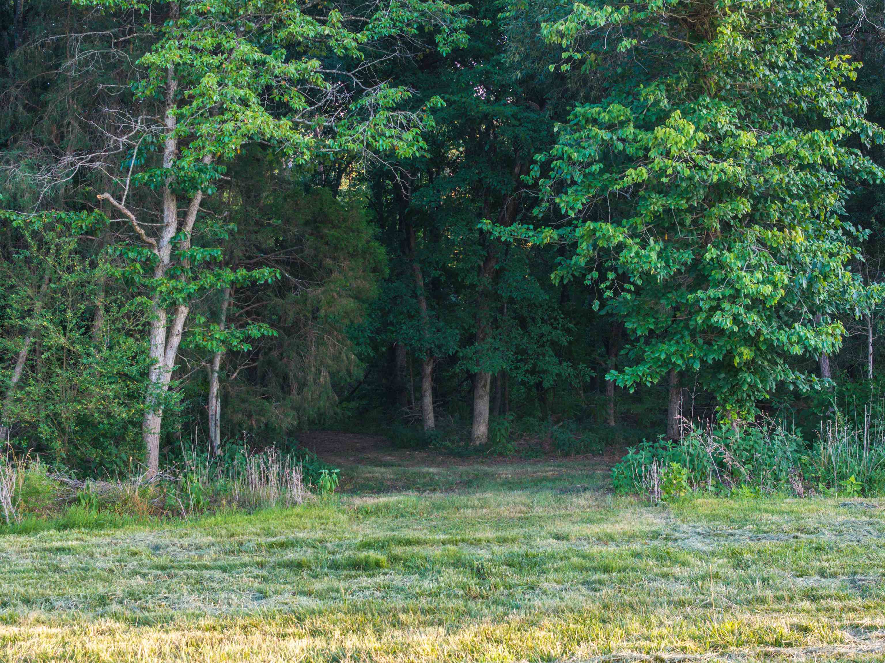 Tbd Tbd Bridgeport Road Arvonia, VA 23004 - Photo 45 of 60 Gallery Image 45