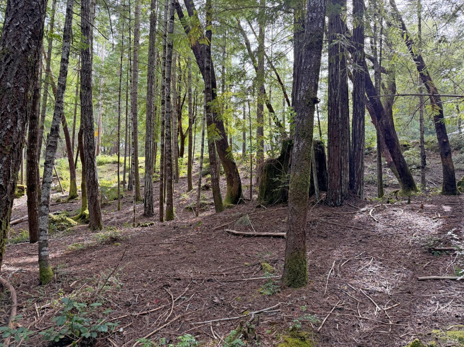 24908-24912 Clover Road Willits, CA 95490 - Photo 11 of 13 a backyard of a house with lots of green space
