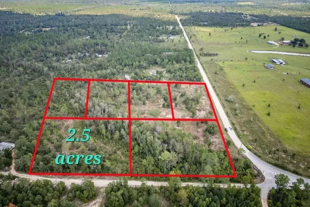 a view of a yard with plants