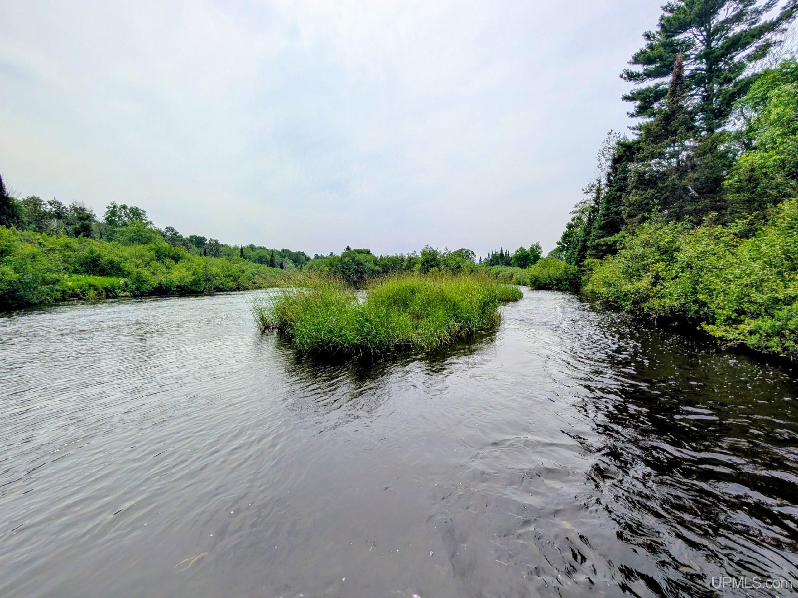 Tbd Pond Road Iron River, MI 49935 - Photo 8 of 26