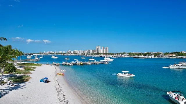a view of a palm tree and outdoor space