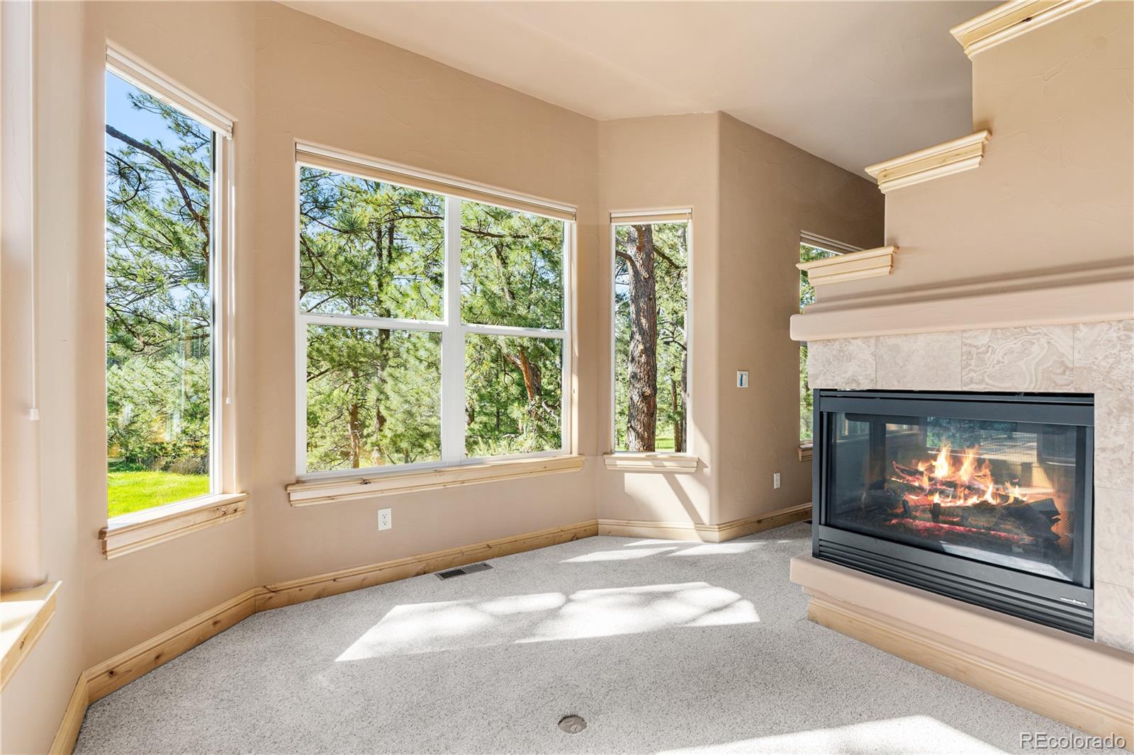 691 Cumberland Road Larkspur, CO 80118 - Photo 31 of 43 a view of an empty room with window and fire place