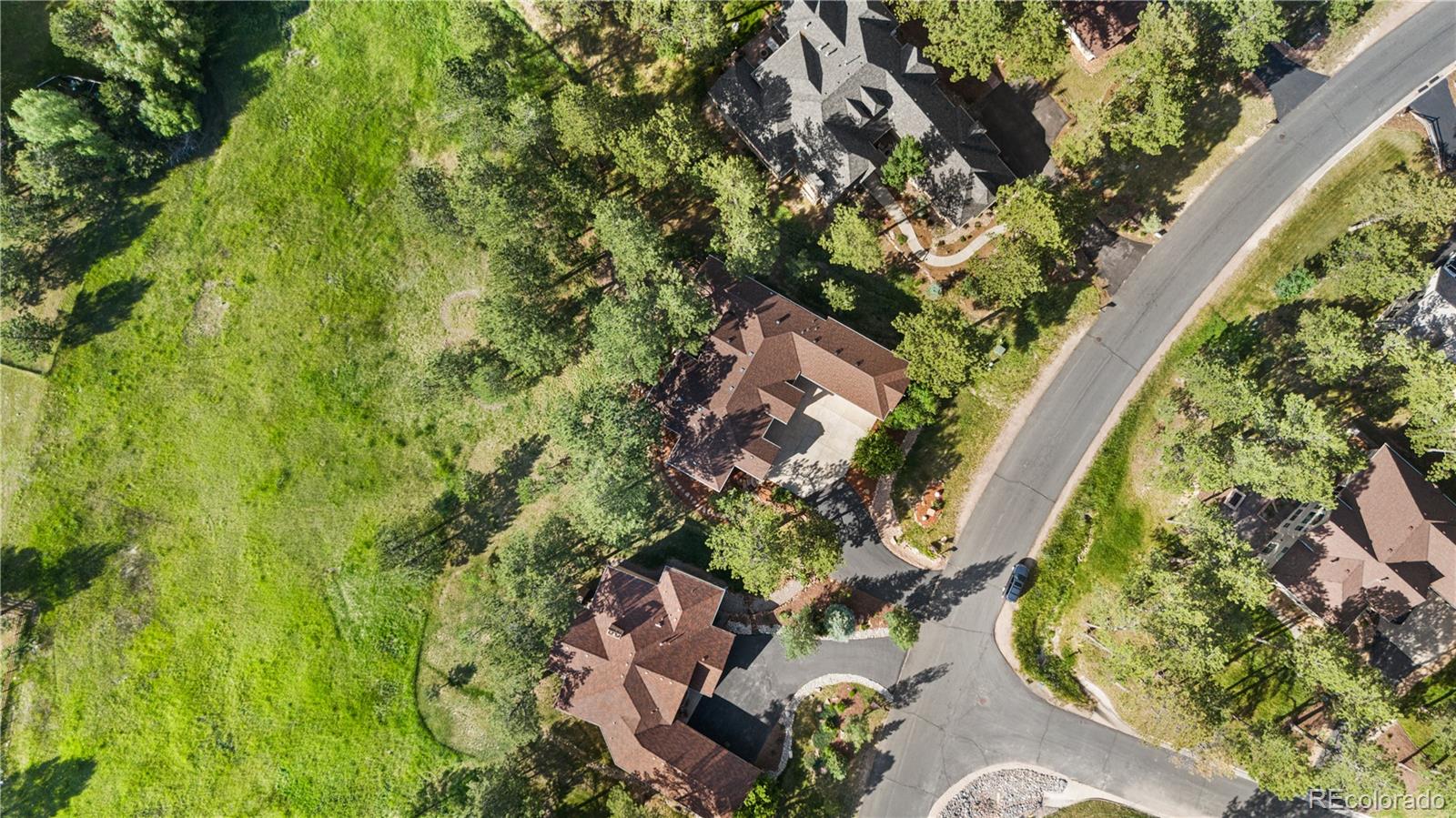 691 Cumberland Road Larkspur, CO 80118 - Photo 4 of 43 a picture of a tree