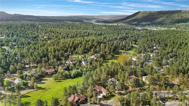 a view of a lush green forest with top and trees