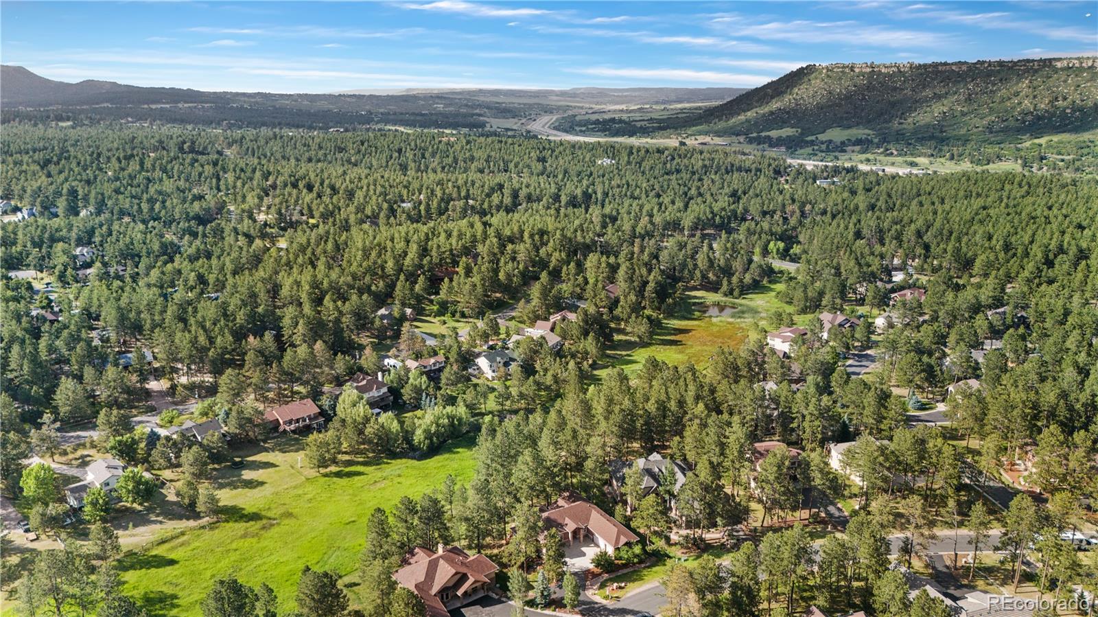 691 Cumberland Road Larkspur, CO 80118 - Photo 5 of 43 a view of a lush green forest with top and trees