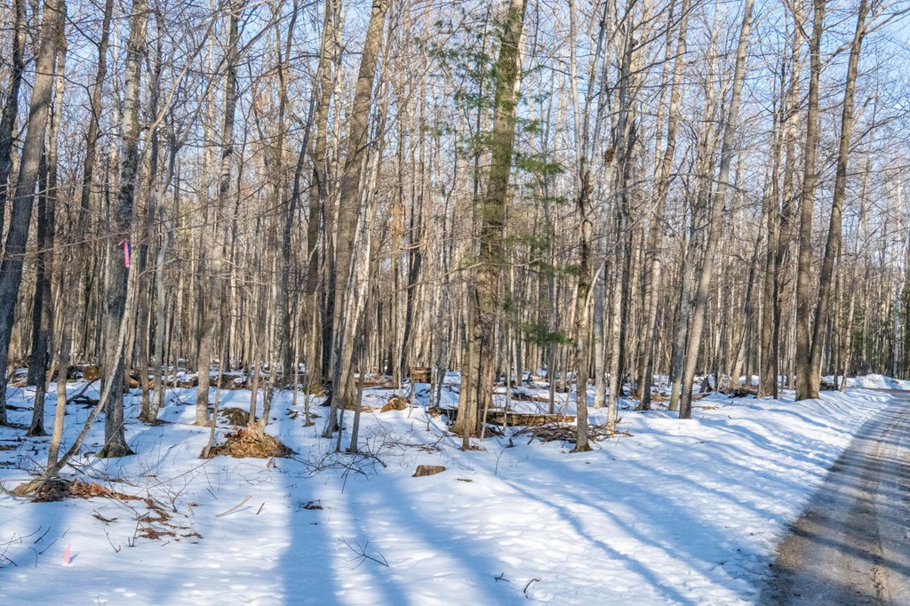 2568 Juniper Ridge Road Baileys Harbor, WI 54202 - Photo 3 of 4