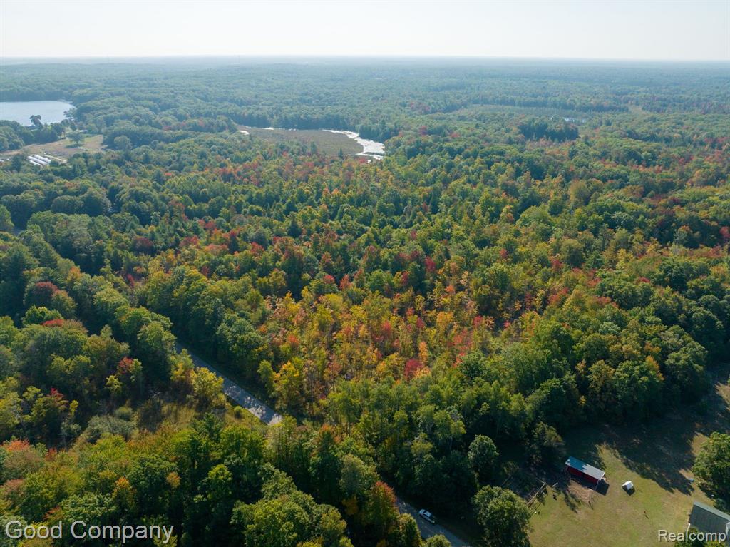 0 Monroe Road White Cloud, MI 49349 - Photo 2 of 3