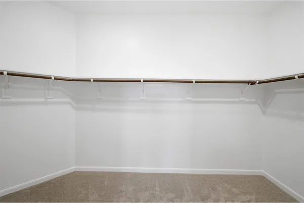 a close up view of racks on the wall