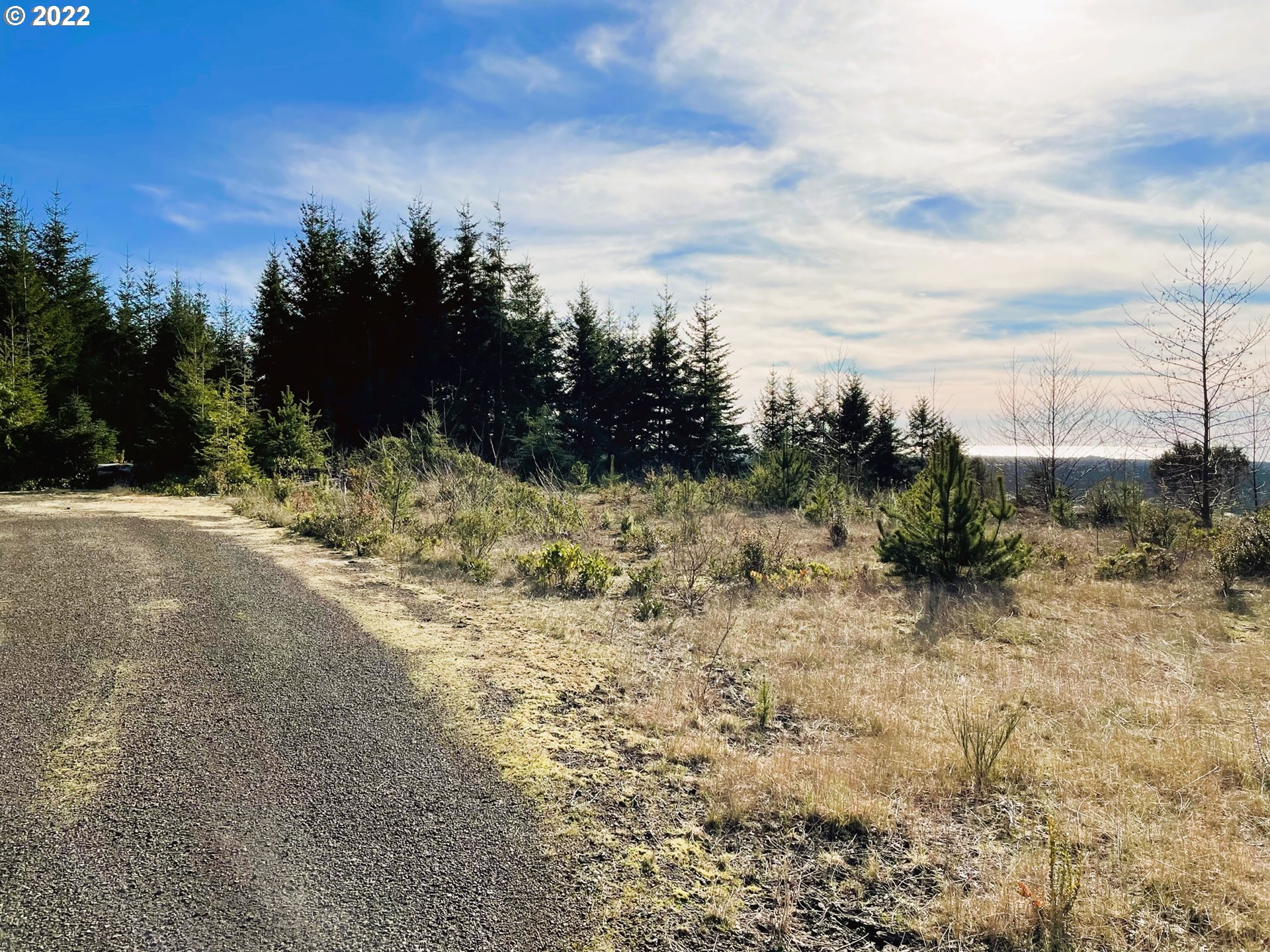 View Road, Unit TL205 Florence, OR 97439 - Photo 11 of 32 Gallery Image 11