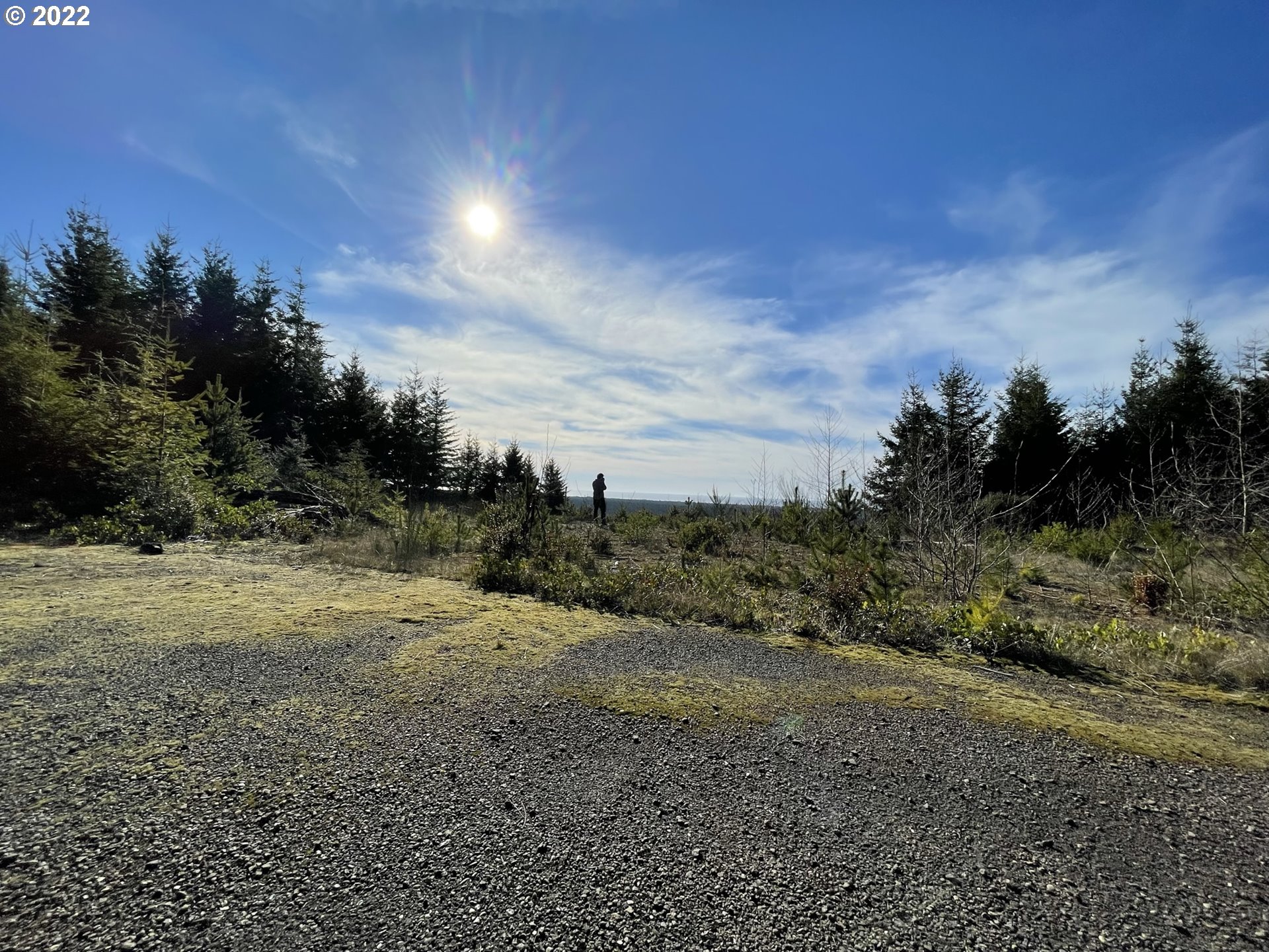 View Road, Unit TL205 Florence, OR 97439 - Photo 17 of 32 Gallery Image 17