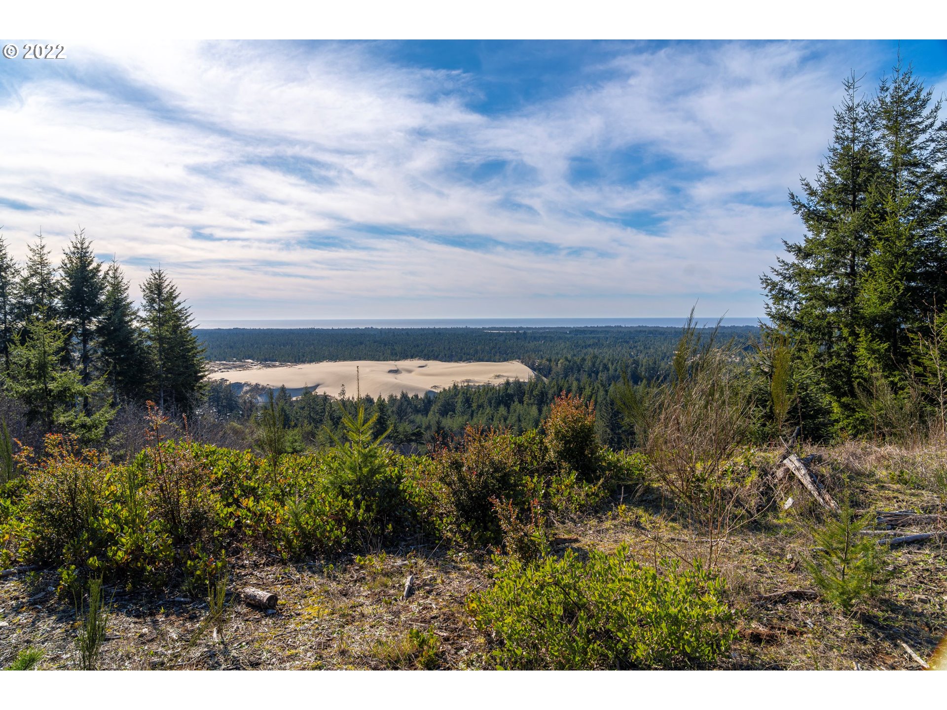 View Road, Unit TL205 Florence, OR 97439 - Photo 18 of 32 Gallery Image 18
