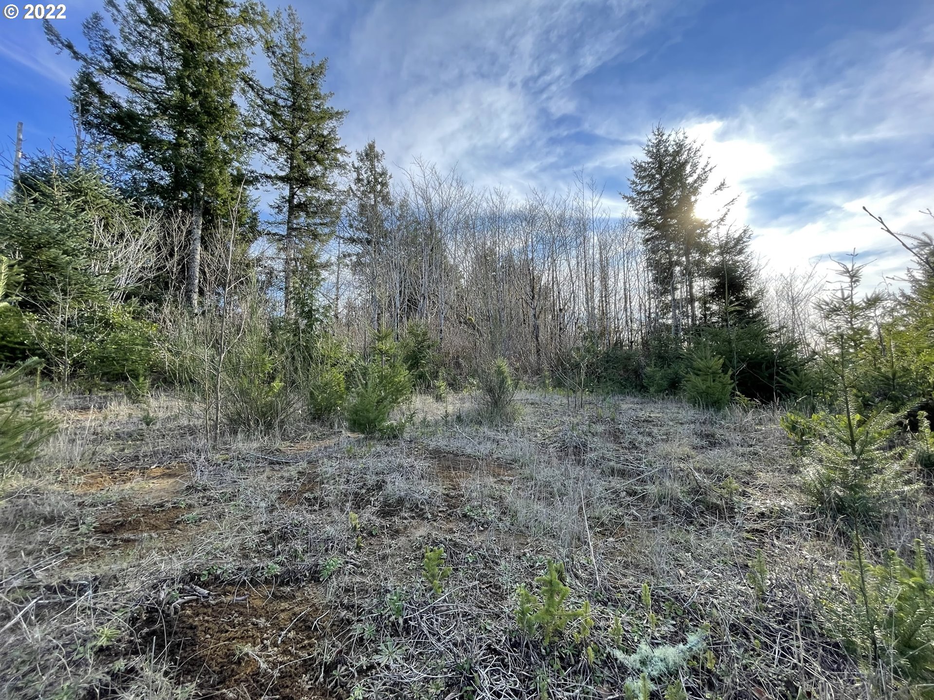 View Road, Unit TL205 Florence, OR 97439 - Photo 23 of 32 Gallery Image 23
