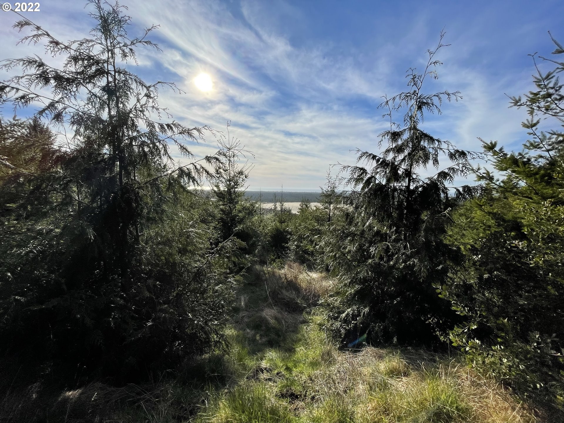 View Road, Unit TL205 Florence, OR 97439 - Photo 24 of 32 Gallery Image 24