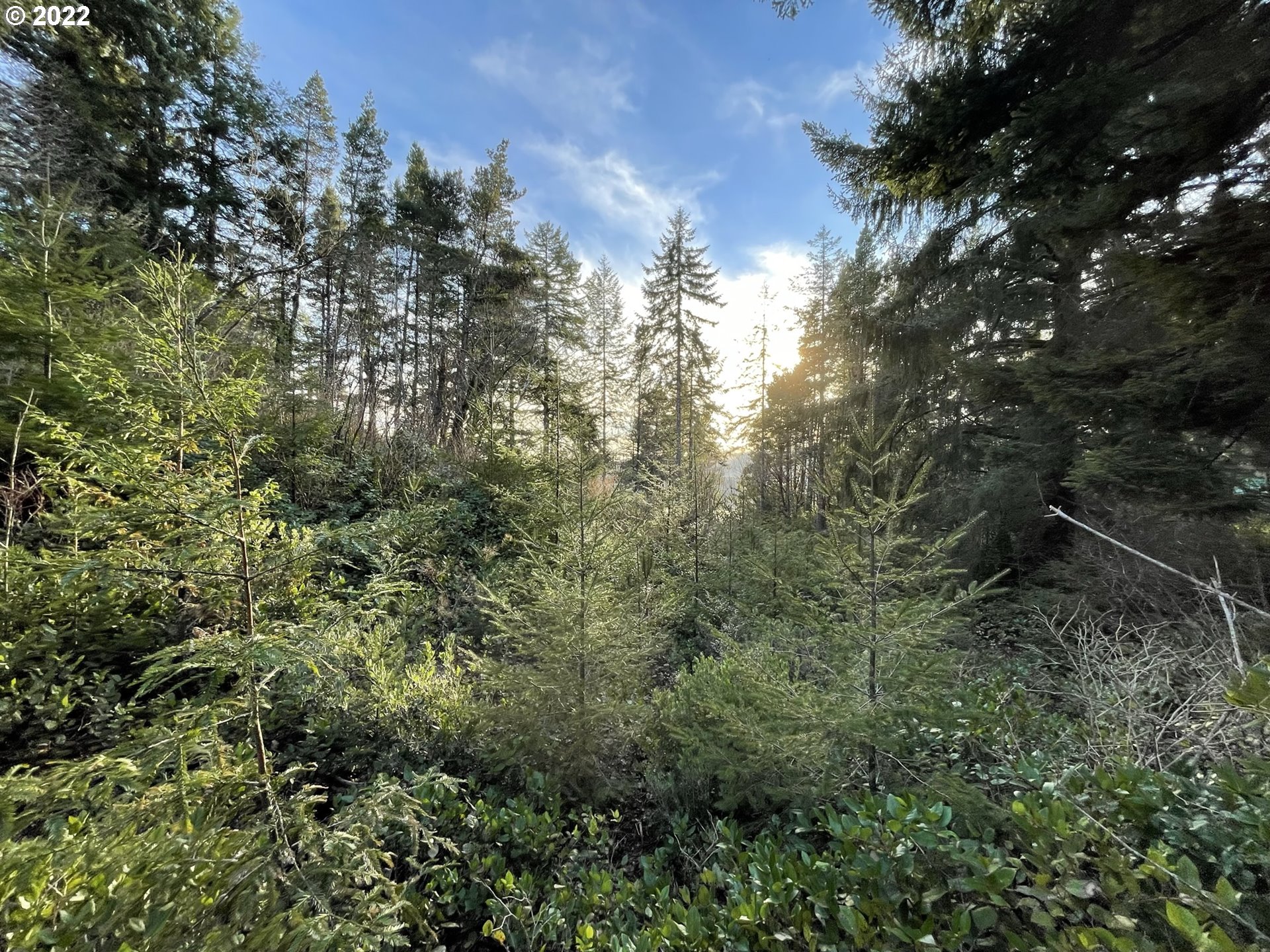 View Road, Unit TL205 Florence, OR 97439 - Photo 25 of 32 Gallery Image 25