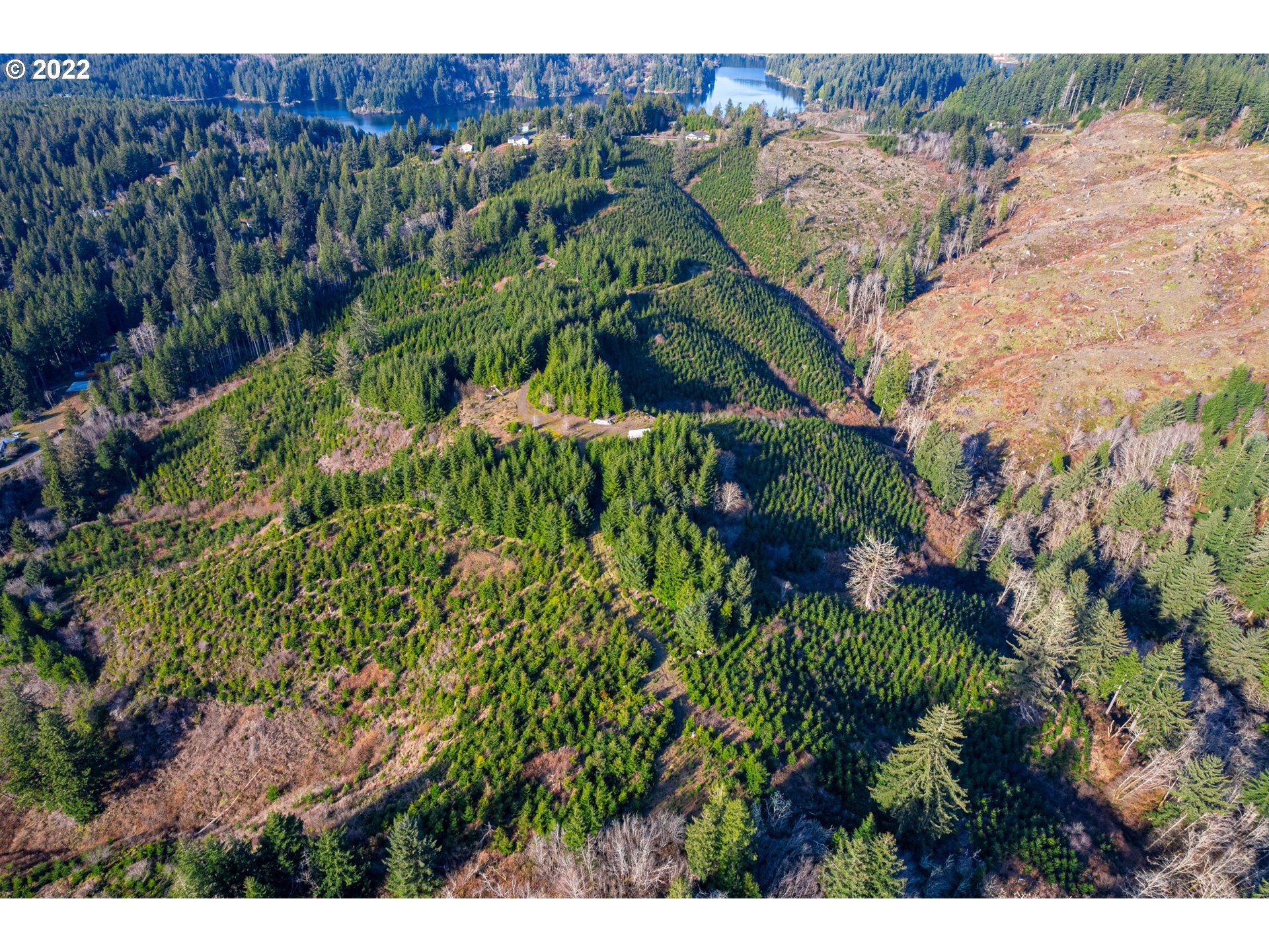 View Road, Unit TL205 Florence, OR 97439 - Photo 7 of 32 Gallery Image 7