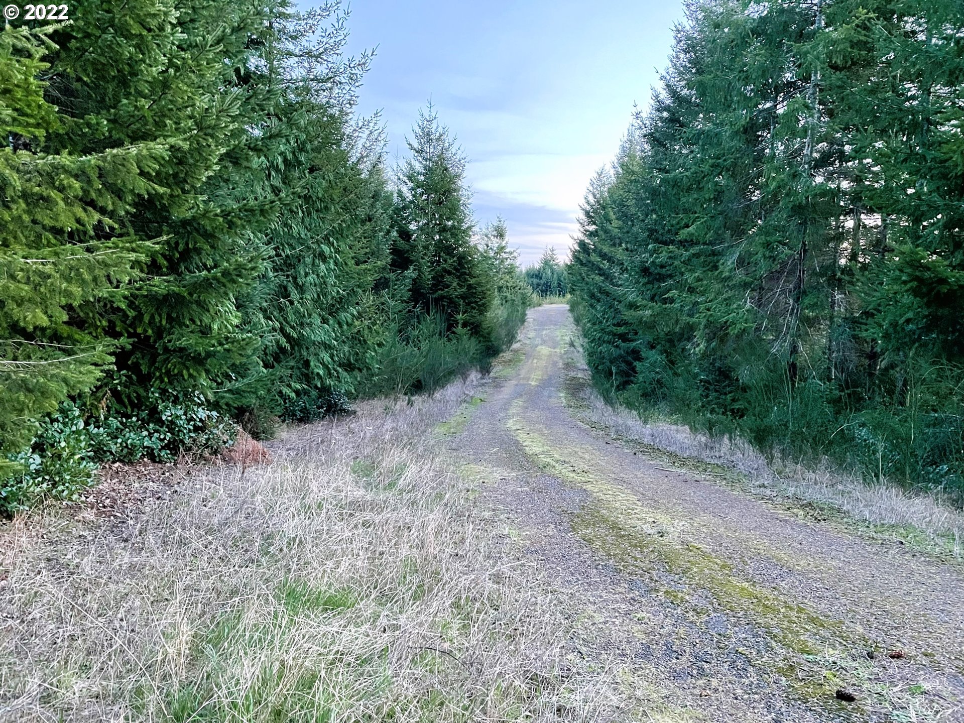 View Road, Unit TL205 Florence, OR 97439 - Photo 10 of 32 Gallery Image 10