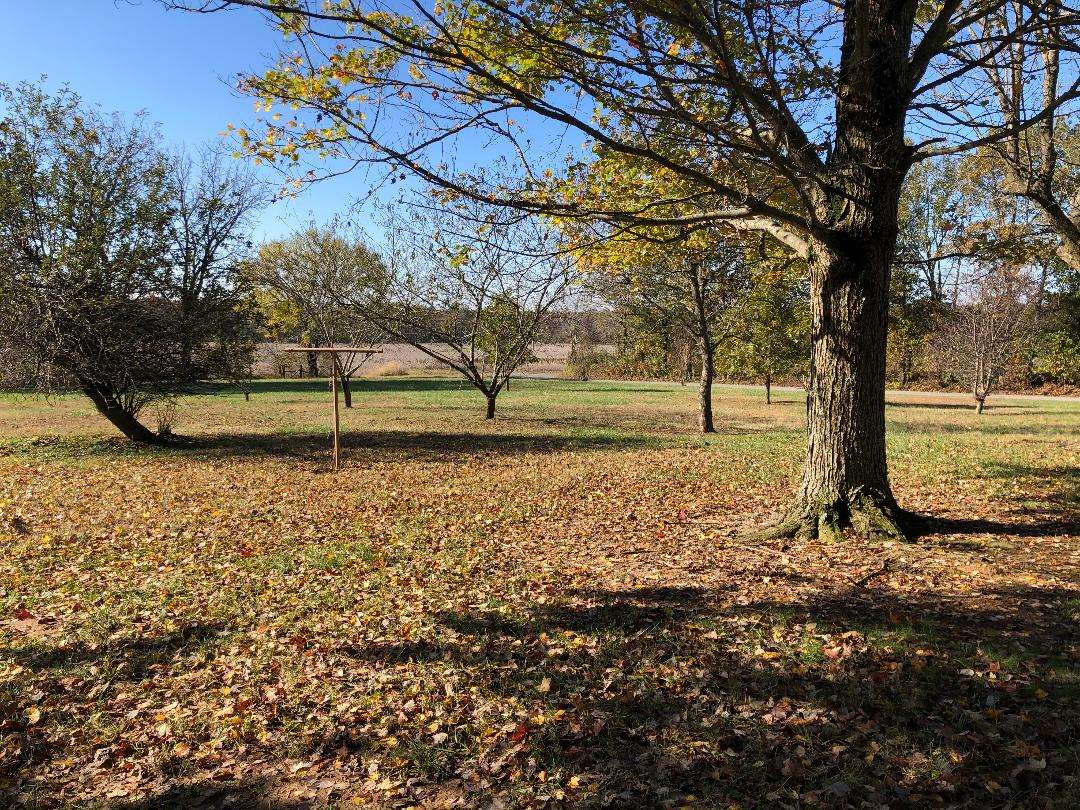 16085 Mustang Road Marion, IL 62959 - Photo 10 of 25