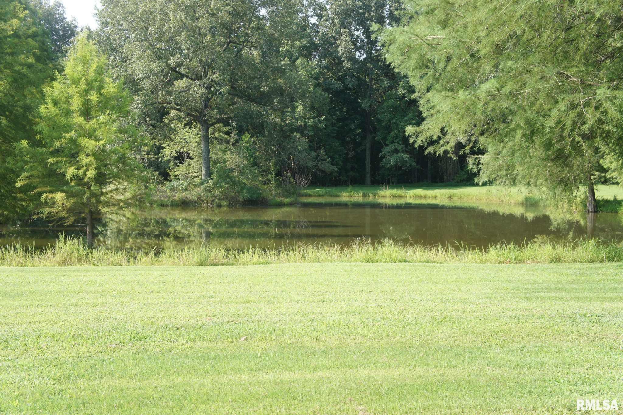 970 Country Club Road Metropolis, IL 62960 - Photo 19 of 69