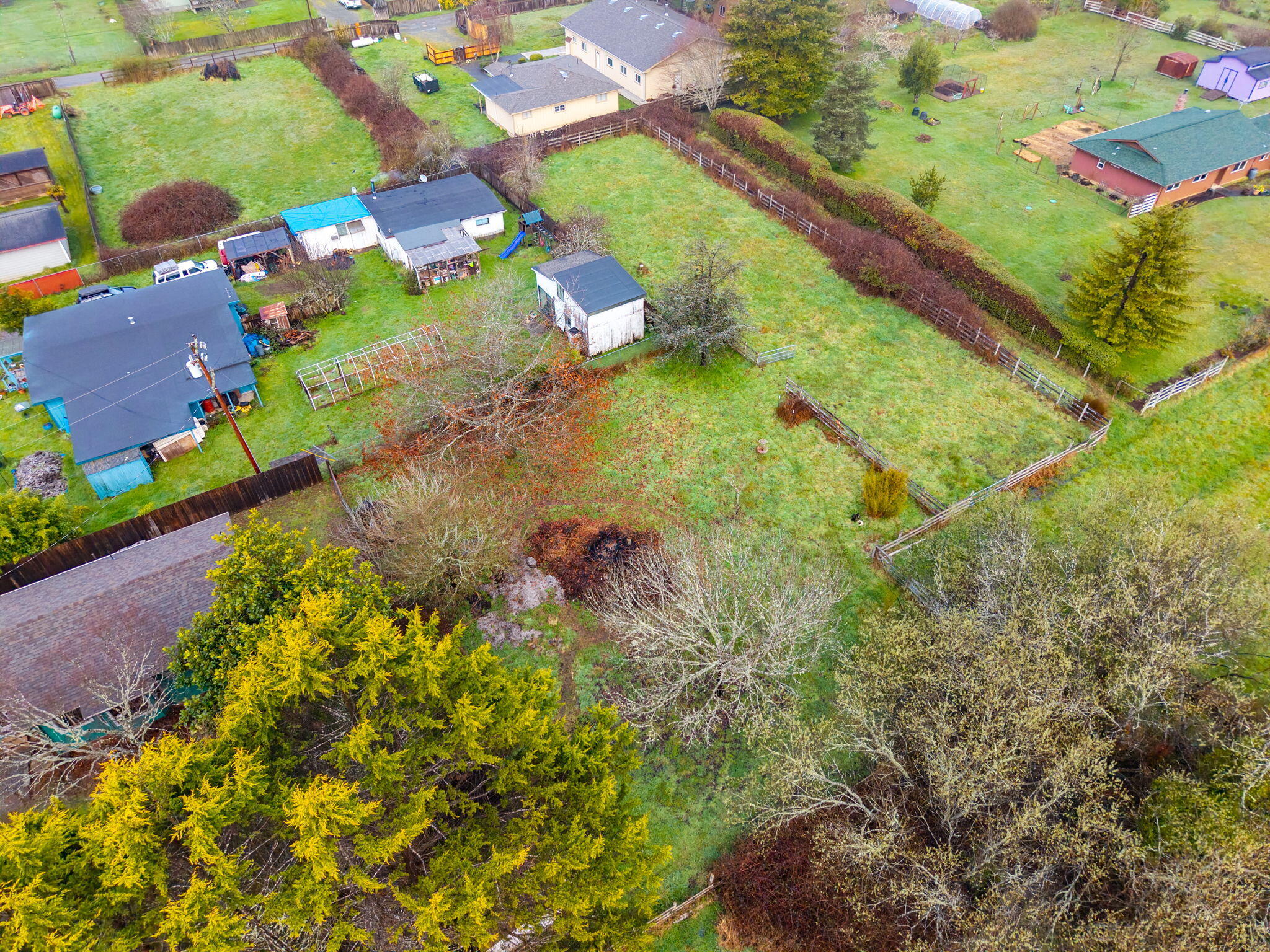 61 Kingston Road Fieldbrook, CA 95519 - Photo 45 of 48 a view of a yard