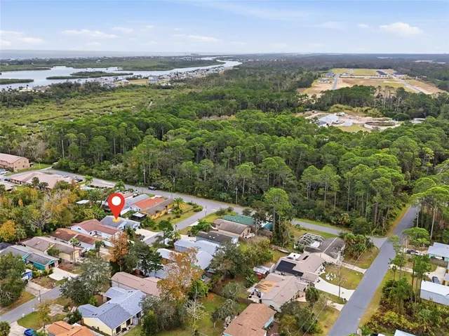 a plant that is sitting in the middle of a yard