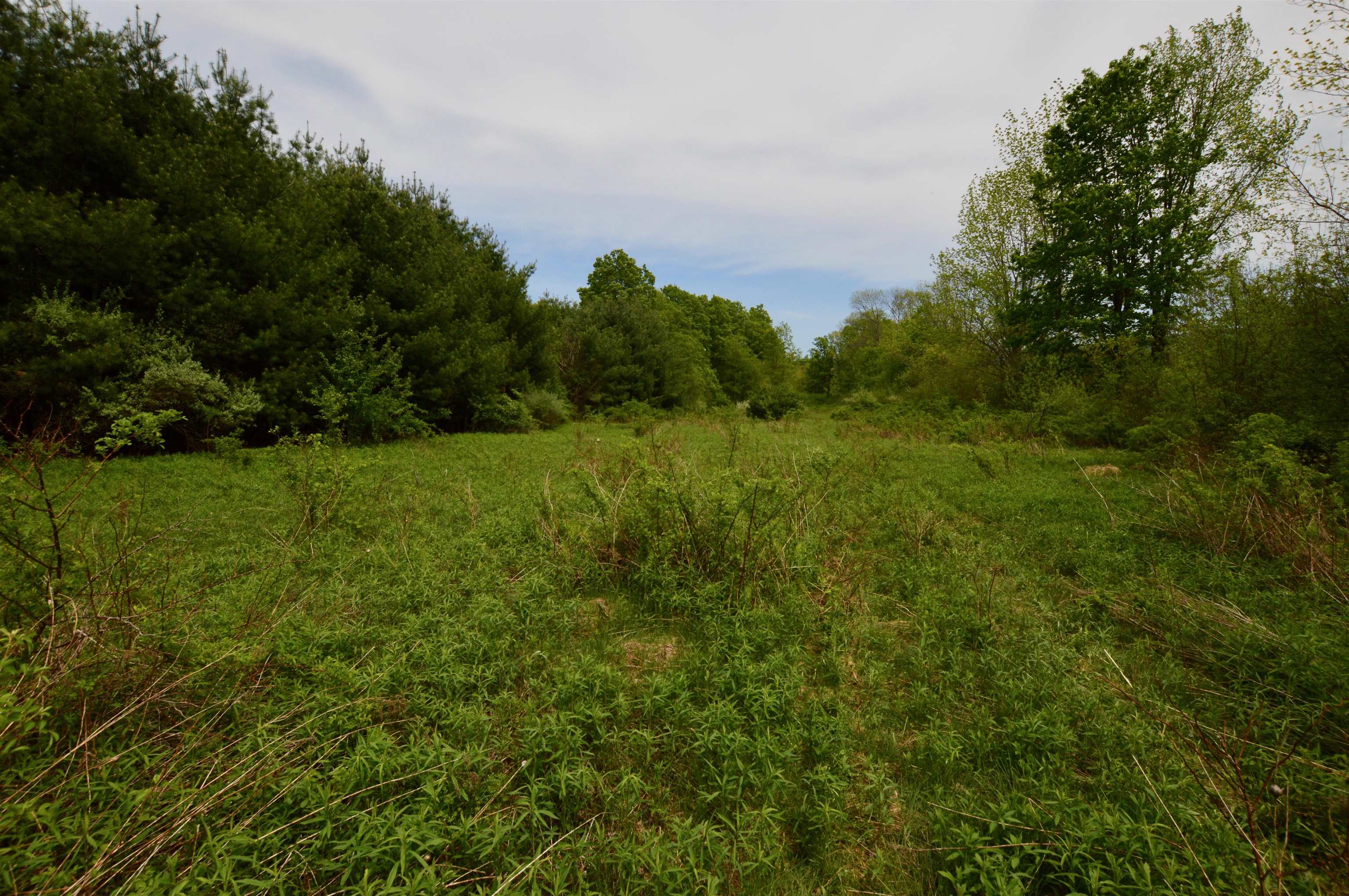 Mount Aeolus Road, Unit PARCEL 1 Manchester Center, VT 05255 - Photo 3 of 12 Gallery Image 3