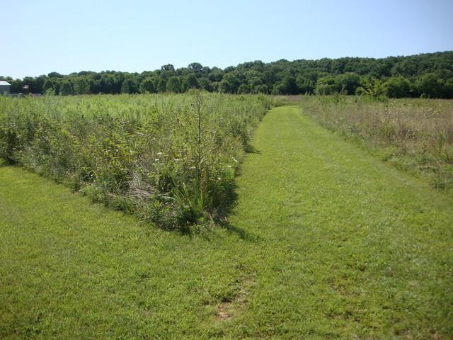 0 Spain Hill Road Lascassas, TN 37085 - Photo 3 of 10 Gallery Image 3