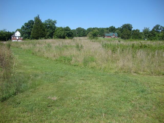 0 Spain Hill Road Lascassas, TN 37085 - Photo 4 of 10 Gallery Image 4