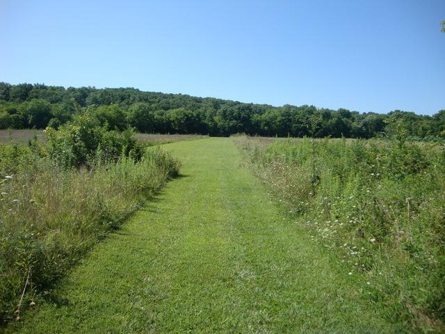 0 Spain Hill Road Lascassas, TN 37085 - Photo 5 of 10 Gallery Image 5