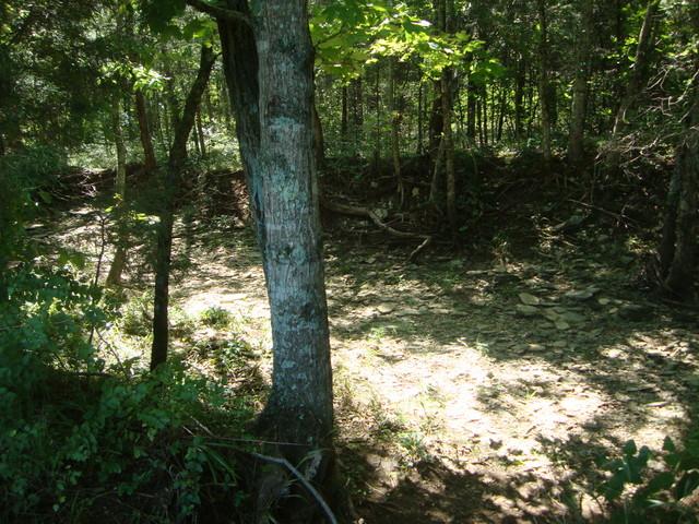 0 Spain Hill Road Lascassas, TN 37085 - Photo 6 of 10 Gallery Image 6