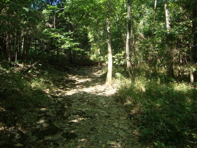 0 Spain Hill Road Lascassas, TN 37085 - Photo 7 of 10 Gallery Image 7