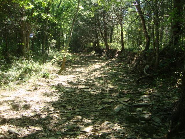 0 Spain Hill Road Lascassas, TN 37085 - Photo 8 of 10 Gallery Image 8