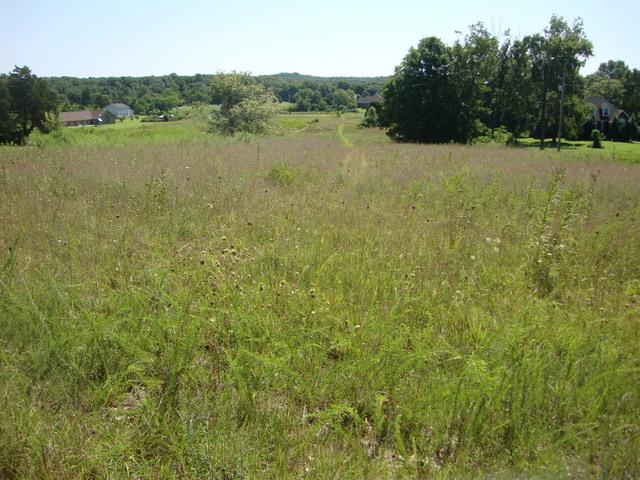 0 Spain Hill Road Lascassas, TN 37085 - Photo 9 of 10 Gallery Image 9