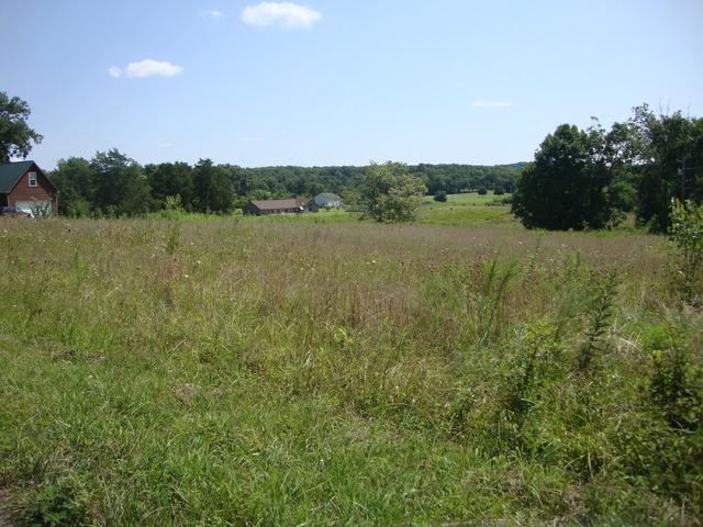 0 Spain Hill Road Lascassas, TN 37085 - Photo 10 of 10 Gallery Image 10