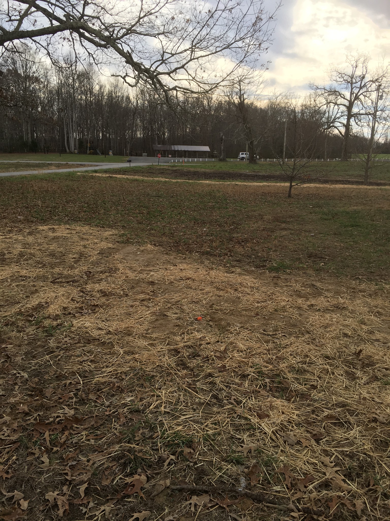 39 Orville Duke Road Morrison, TN 37357 - Photo 3 of 12 a view of dirt field with trees