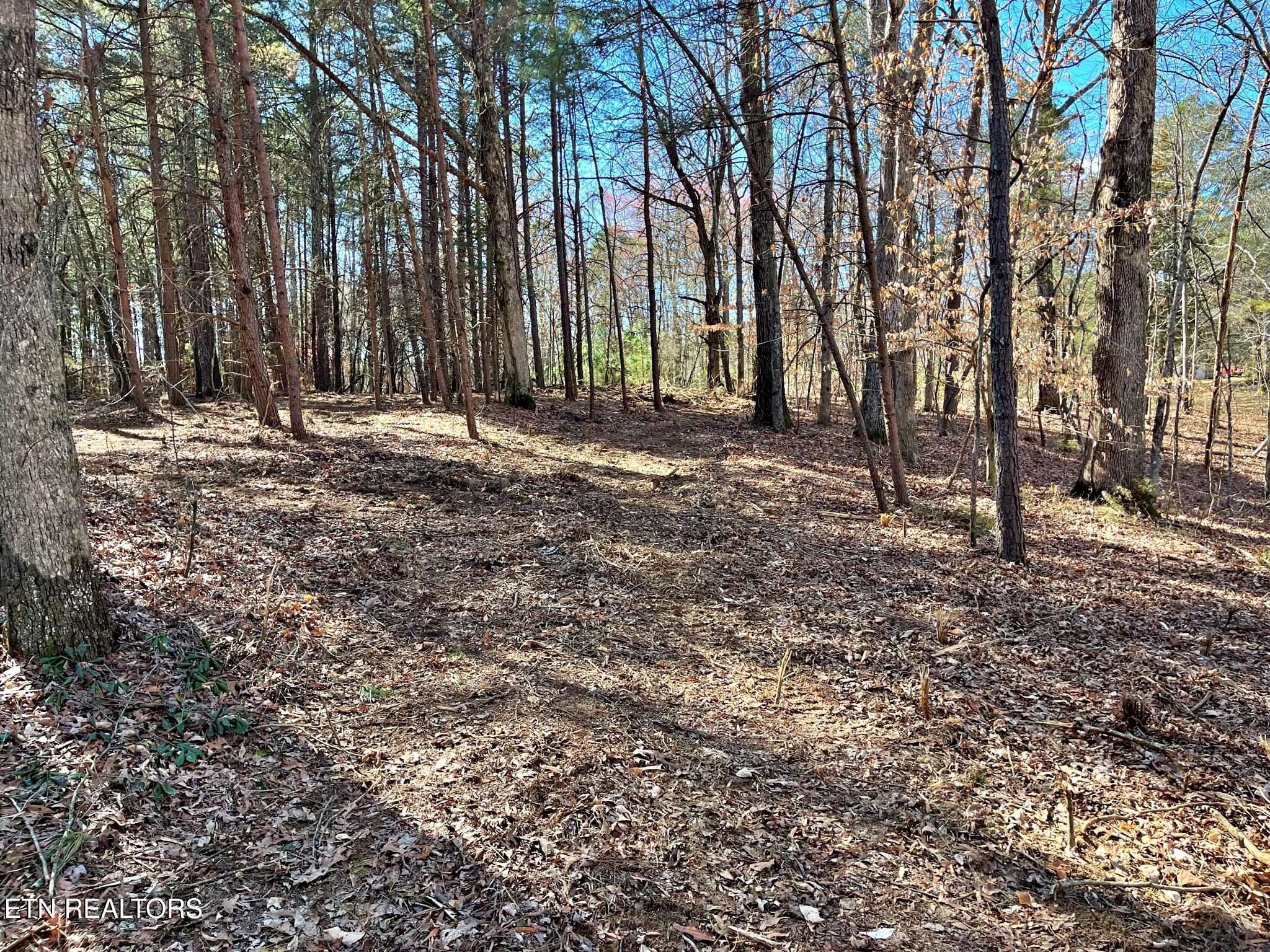 Oak Grove Road Decatur, TN 37322 - Photo 11 of 30 8dc8b55d-7aba-4825-b9f5-3aa132e40012