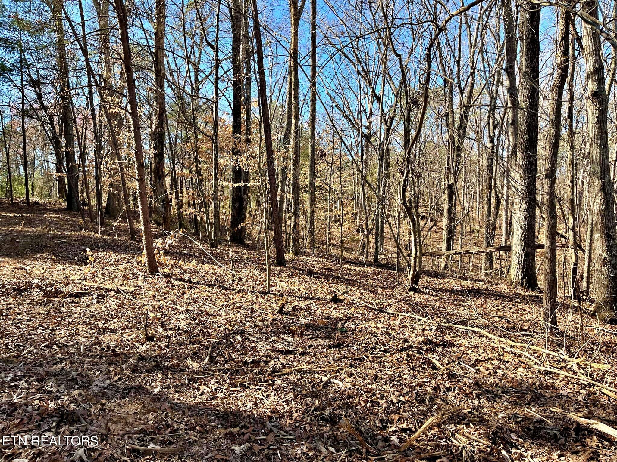 Oak Grove Road Decatur, TN 37322 - Photo 12 of 30 13d8f792-27a4-4a1b-ae05-9a5b6140a873