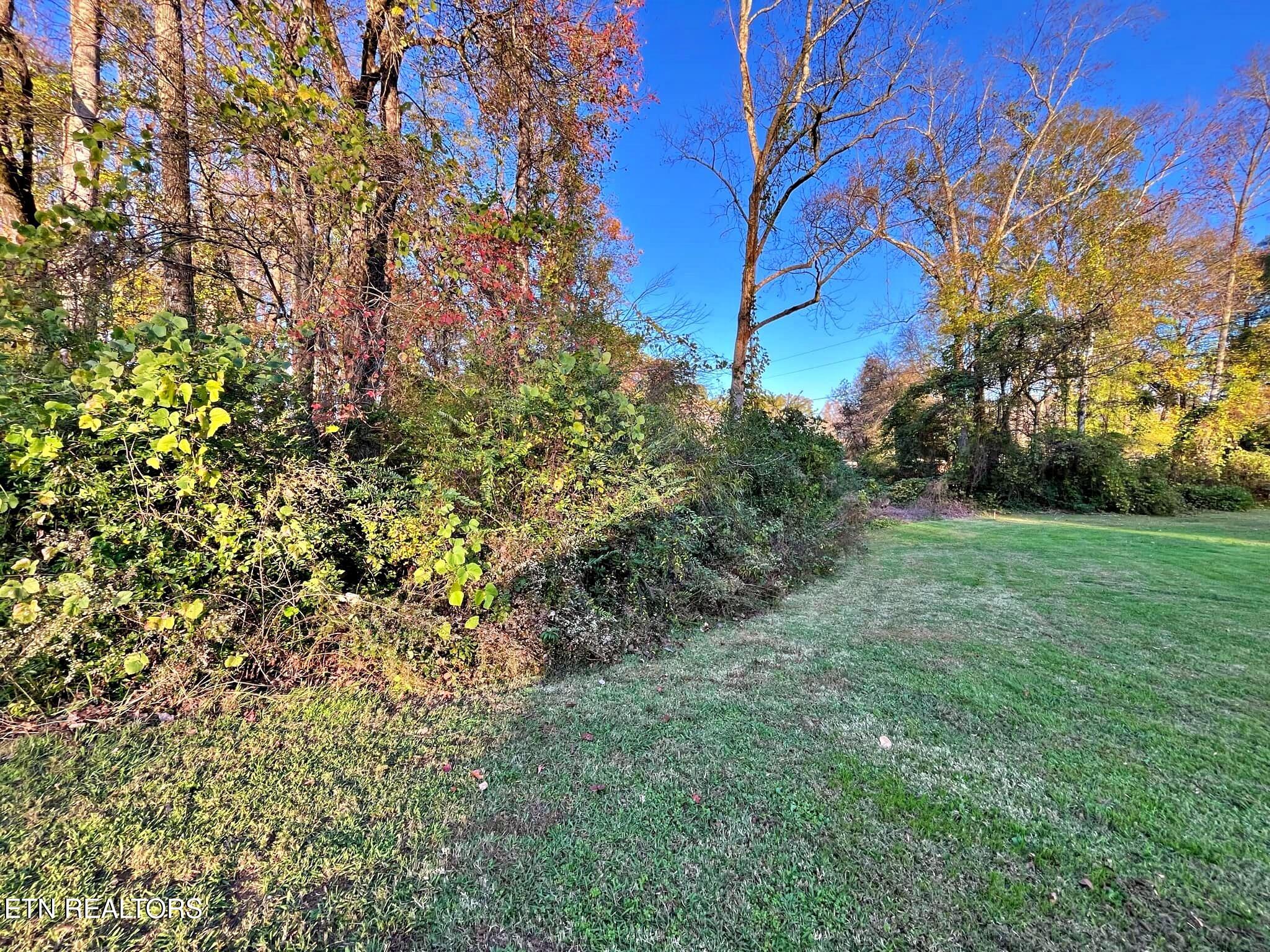 Oak Grove Road Decatur, TN 37322 - Photo 14 of 30 0bd88b9f-25d3-44b0-b781-b4d5b2247430