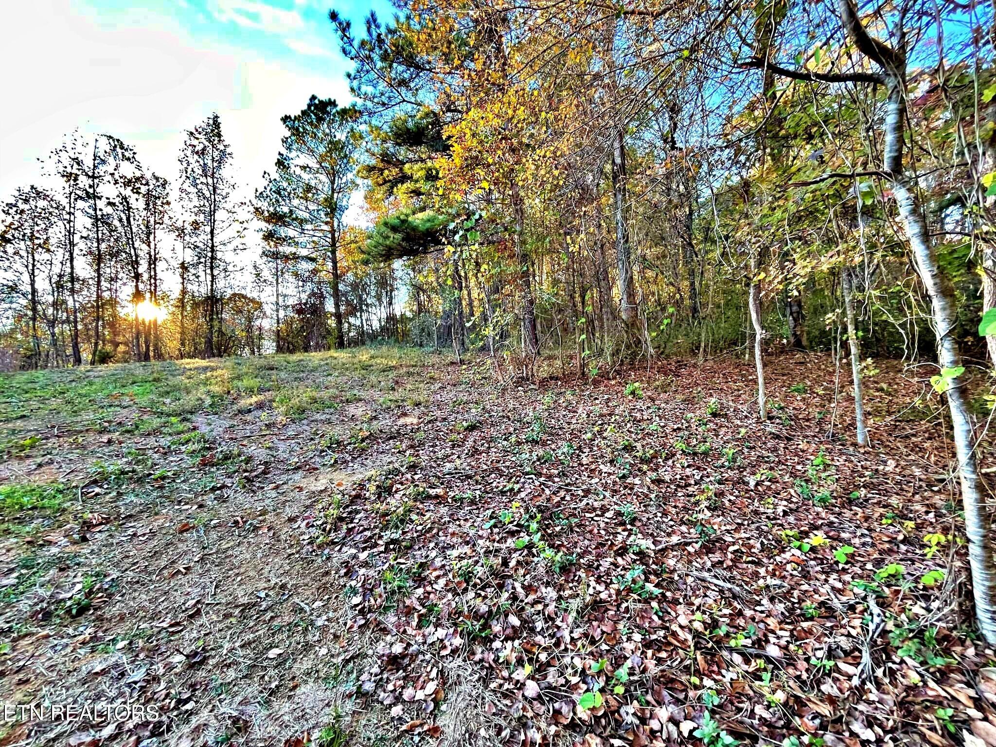 Oak Grove Road Decatur, TN 37322 - Photo 16 of 30 3dbacf7d-4bfc-47aa-b386-889ec59a3285