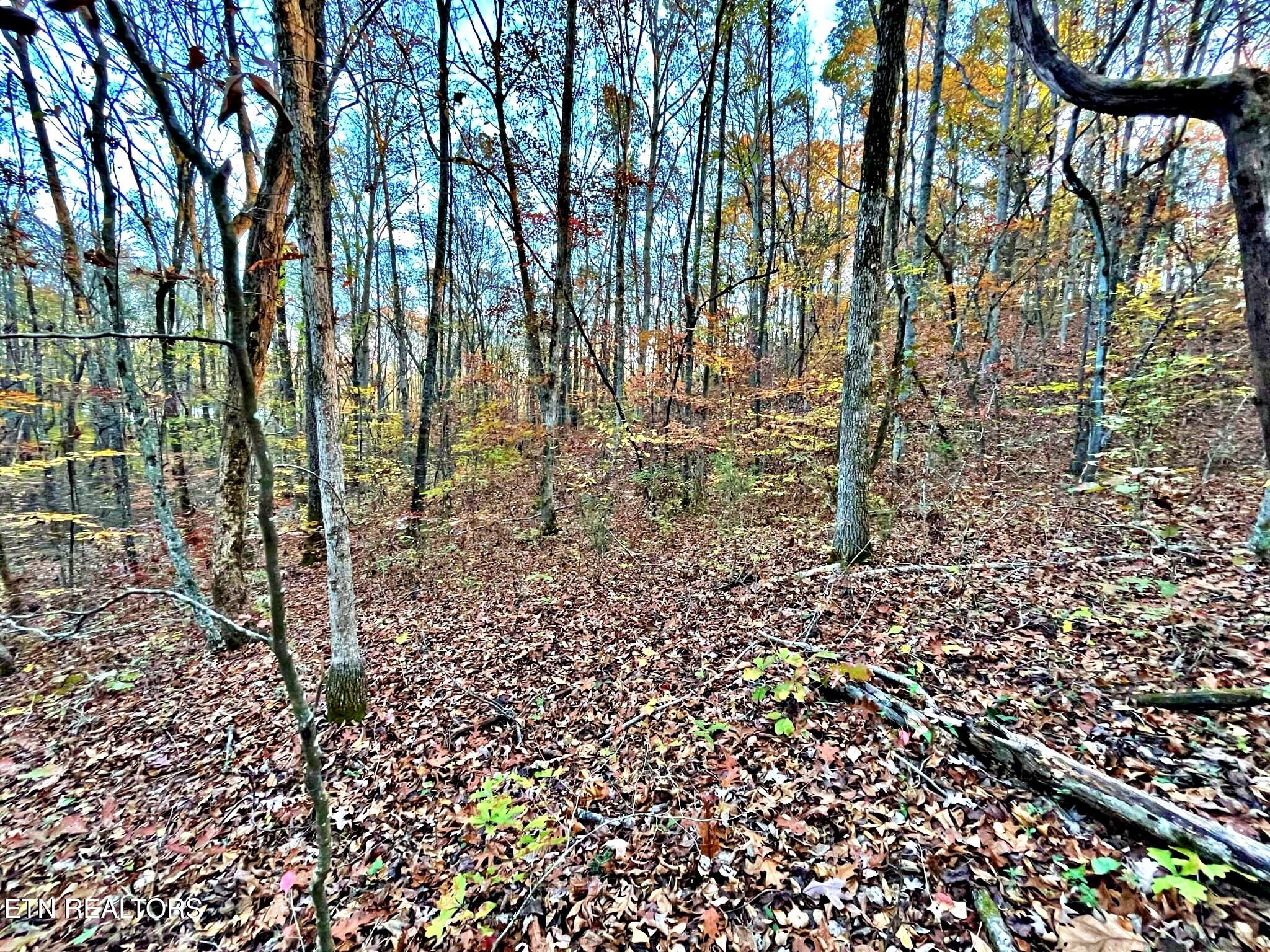 Oak Grove Road Decatur, TN 37322 - Photo 18 of 30 83c9e541-d0b0-486f-a8db-482a3e5d53e9