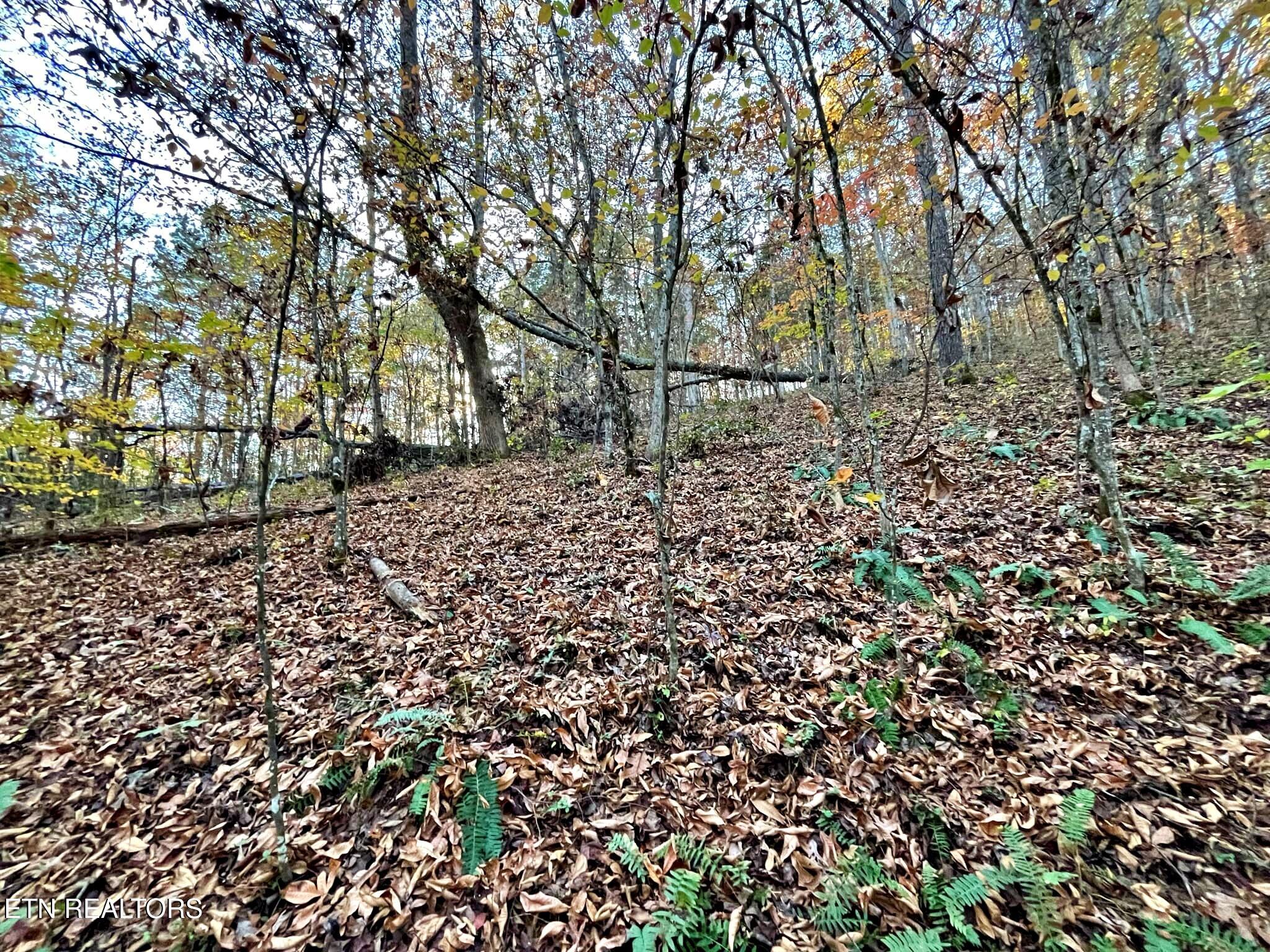 Oak Grove Road Decatur, TN 37322 - Photo 19 of 30 9875b876-5050-4590-b8b8-e7e509dfd53f