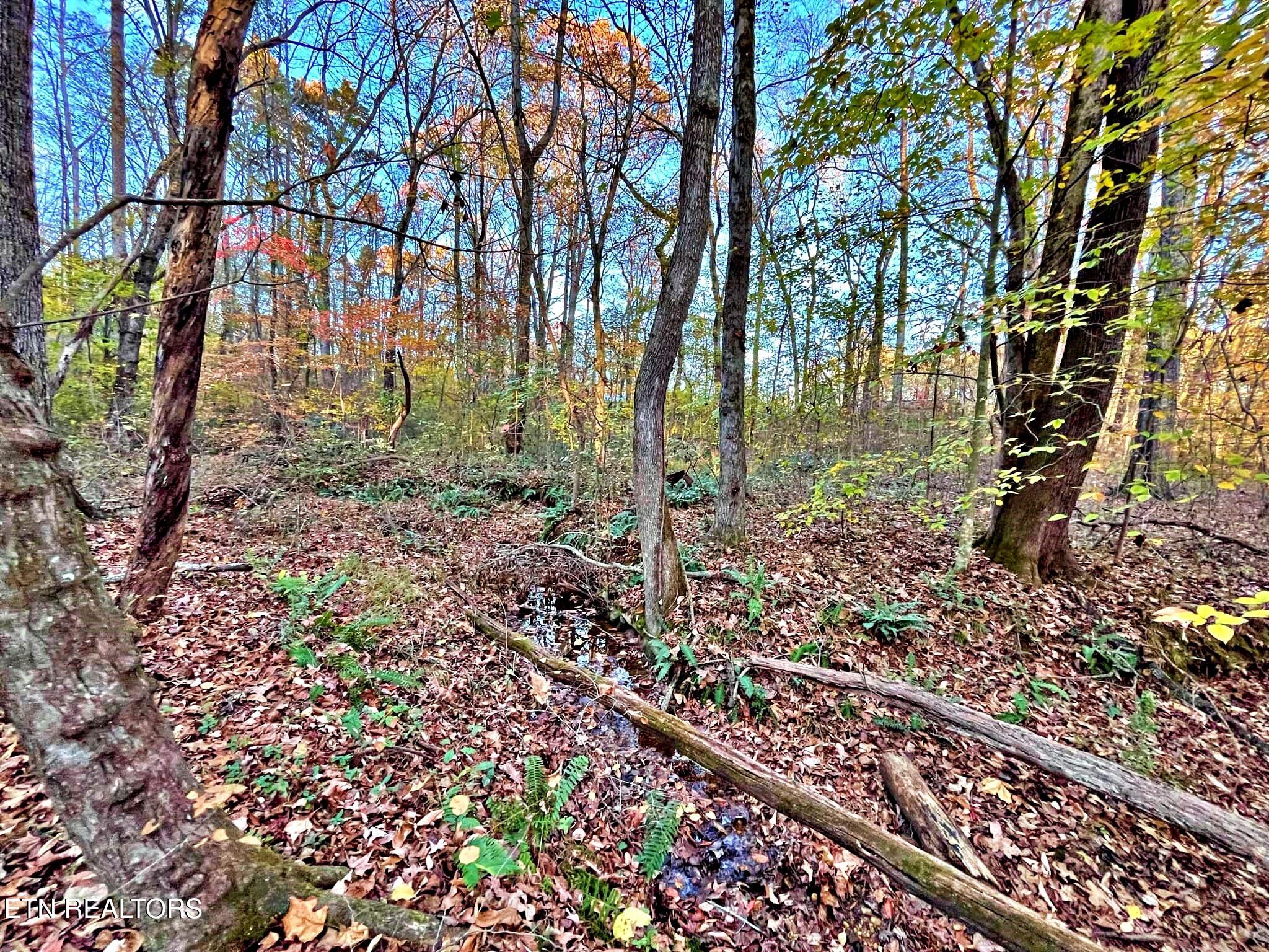 Oak Grove Road Decatur, TN 37322 - Photo 20 of 30 877065ca-4444-425b-80b6-168811c76e5f