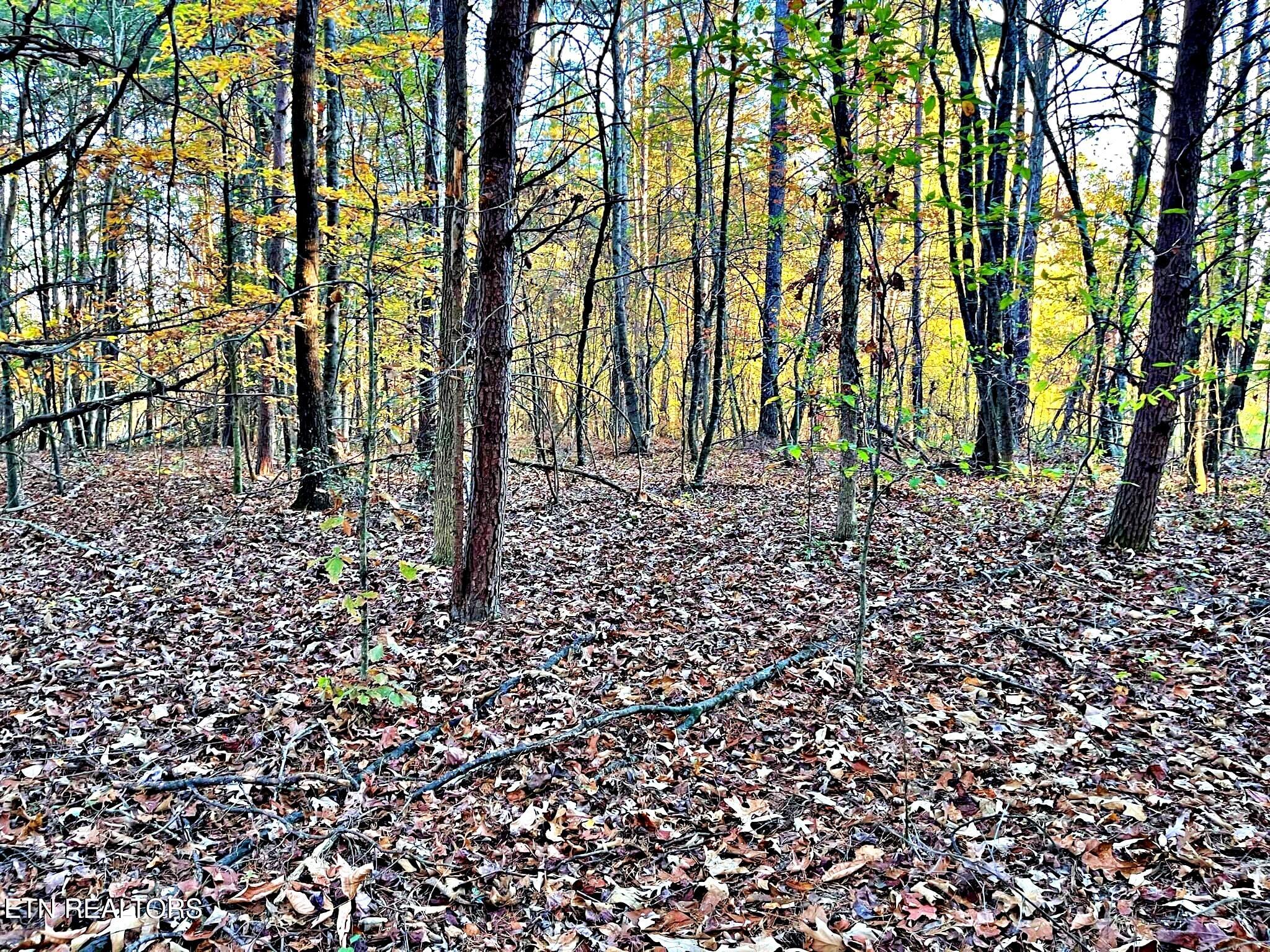 Oak Grove Road Decatur, TN 37322 - Photo 23 of 30 c087e277-2f38-4aef-ad7d-4b43a92d1219