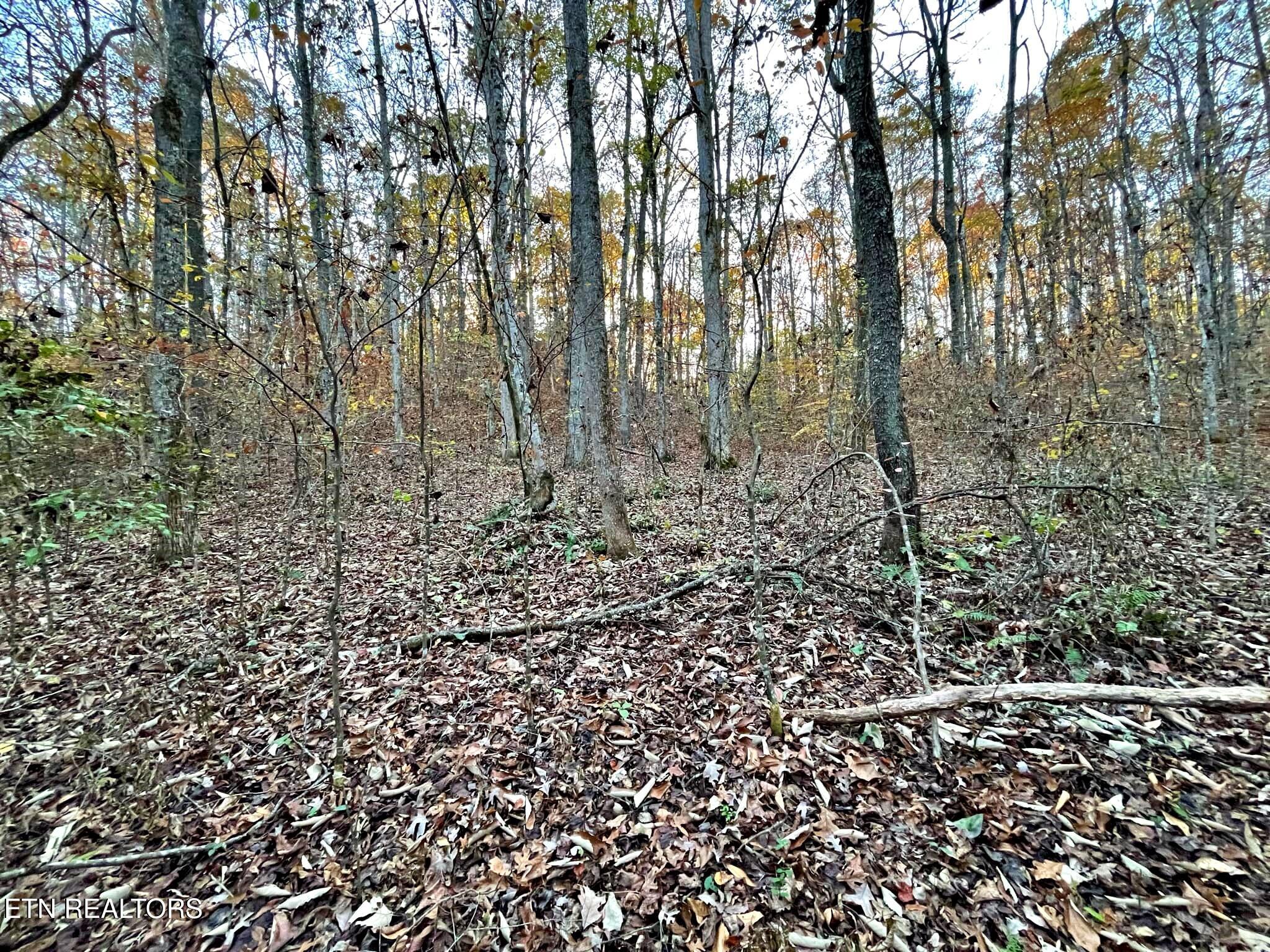 Oak Grove Road Decatur, TN 37322 - Photo 24 of 30 d717f013-64c9-42a1-a07b-fd374ad158be