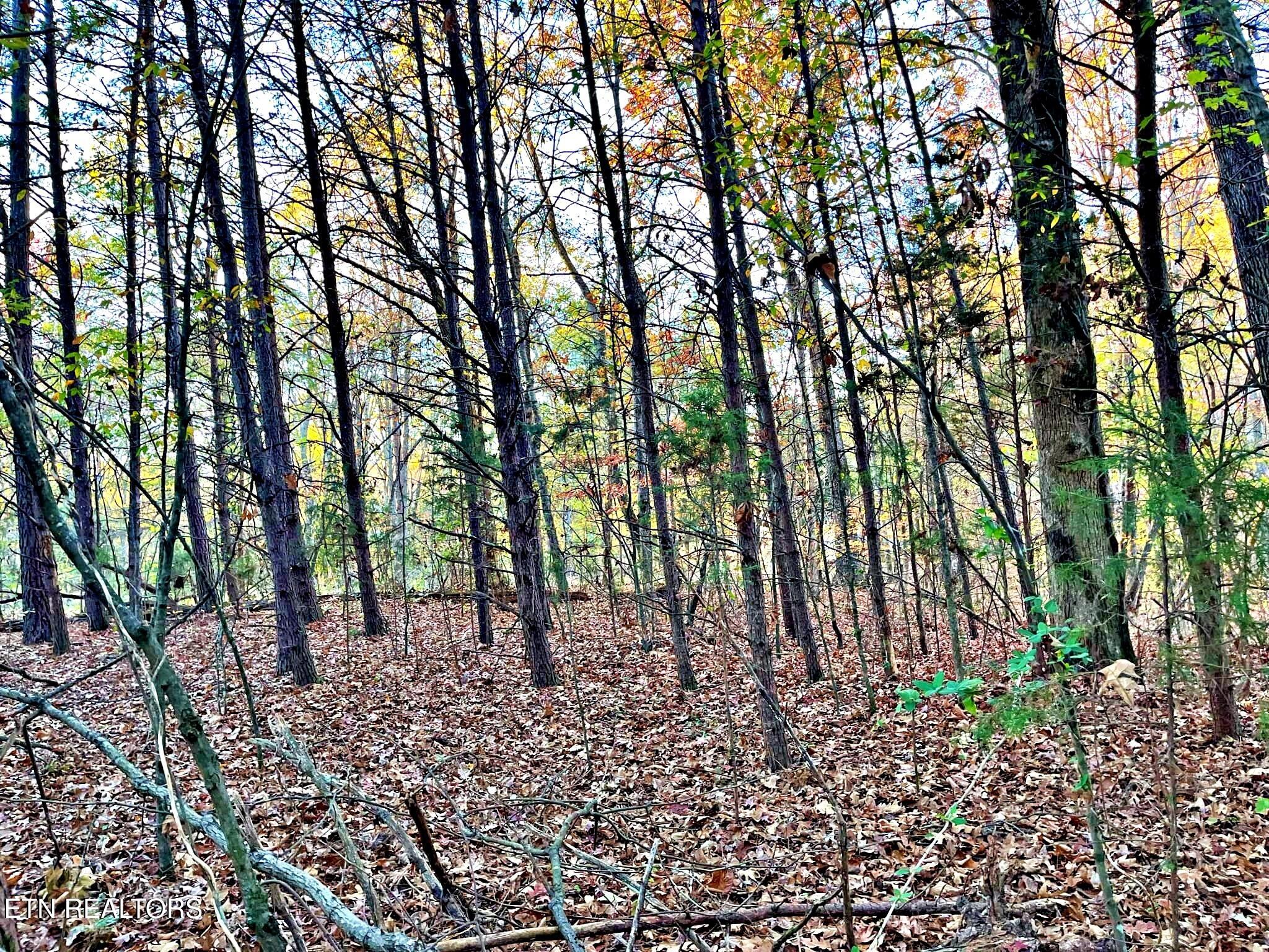 Oak Grove Road Decatur, TN 37322 - Photo 26 of 30 e19ae4a8-326a-485d-b5e6-9c7c8cf3aa38