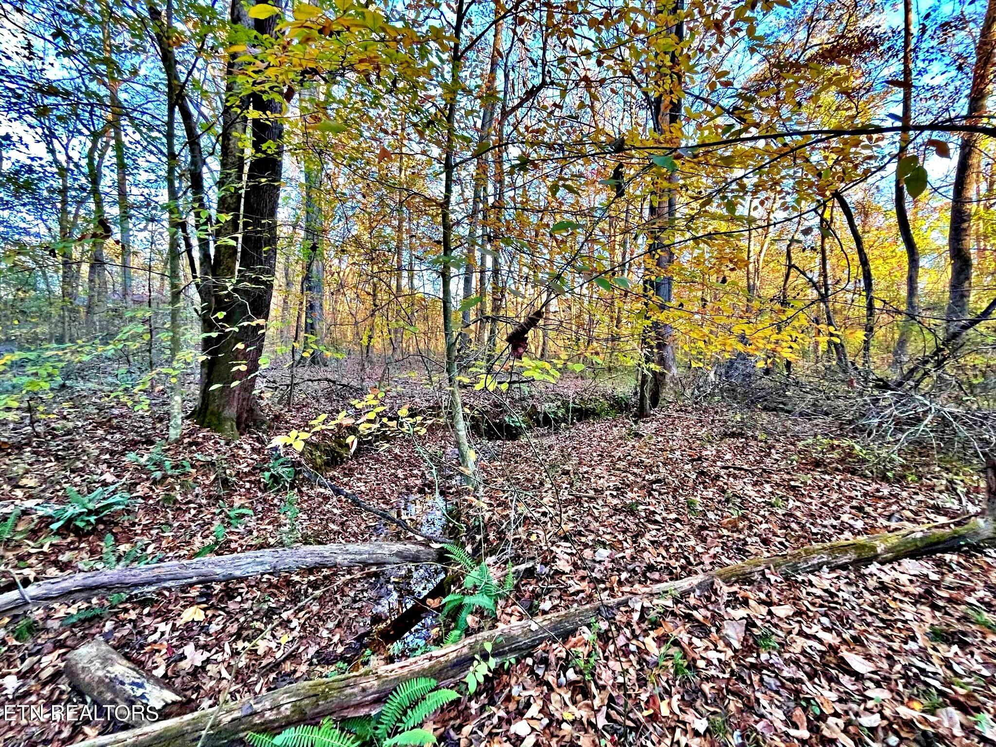 Oak Grove Road Decatur, TN 37322 - Photo 27 of 30 e86e9291-398a-4585-94d4-e843190ea686
