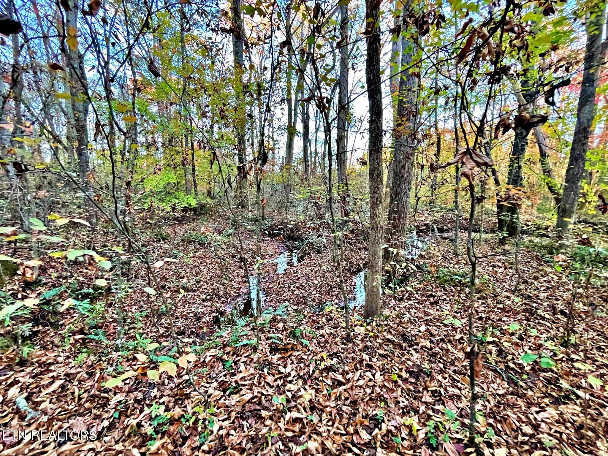 Oak Grove Road Decatur, TN 37322 - Photo 30 of 30 fcc10491-dcee-4d05-b136-0b55787f528e
