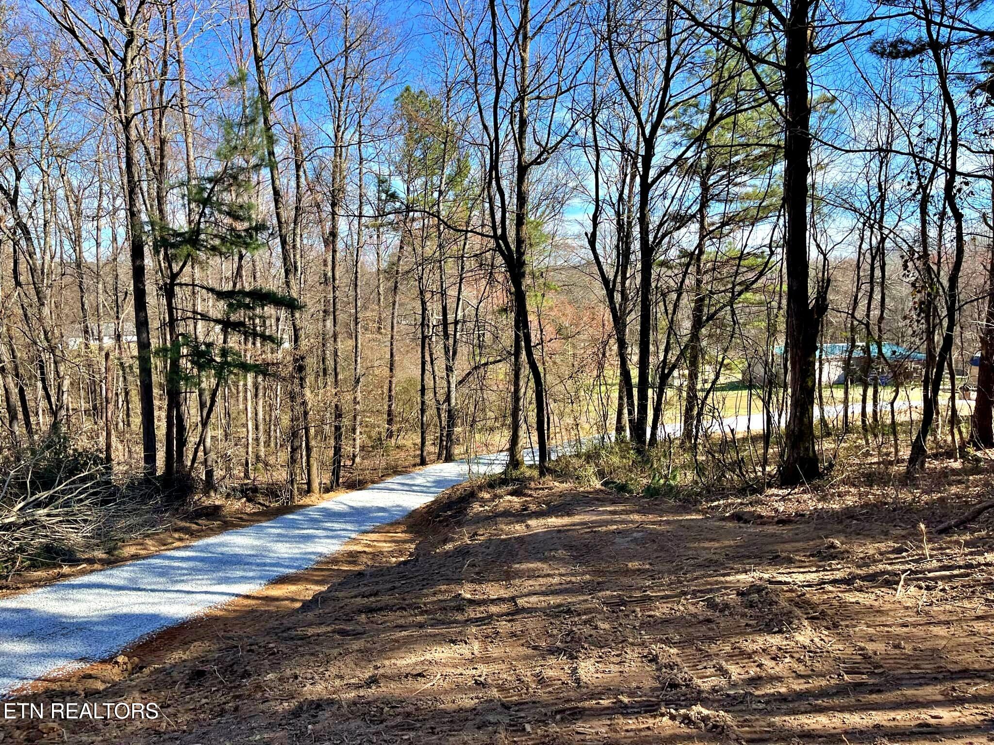 Oak Grove Road Decatur, TN 37322 - Photo 4 of 30 9334629d-952c-4161-a2ac-90f373ecc752